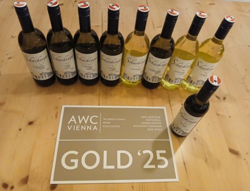 Top Bewertungen bei AWC-VIENNA (International Wine Challenge)