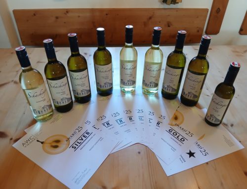 Top Bewertungen bei AWC-VIENNA (International Wine Challenge)